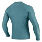 Preview: Neil Pryde Mission Rashguard Men L/S Ice Rückenansicht