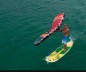 Preview: Naish Wingsurfer 4.0 qm Robby Naish