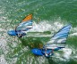 Preview: Neilpryde Speedster Segel C9 Hellblau 2023 zu zweit Windsurfen