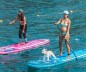 Preview: Starboard Igo Tikhine 11.2 Wave Deluxe SC Sup Board mit Hund