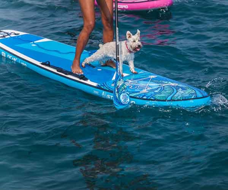 Starboard Igo Tikhine 11.2 Wave Deluxe SC Sup Board zu zeit mit Hund